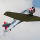 AT-6D Texan flown by Aaron Taylor from Temple, TX